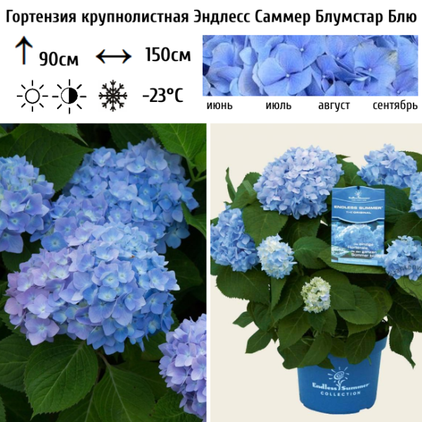 Основное изображение товара